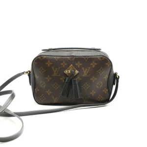 louis vuitton camera bag